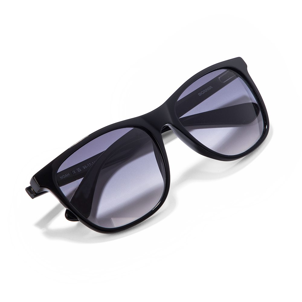 Noah Sunglasses