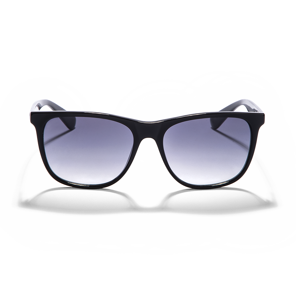 Noah Sunglasses