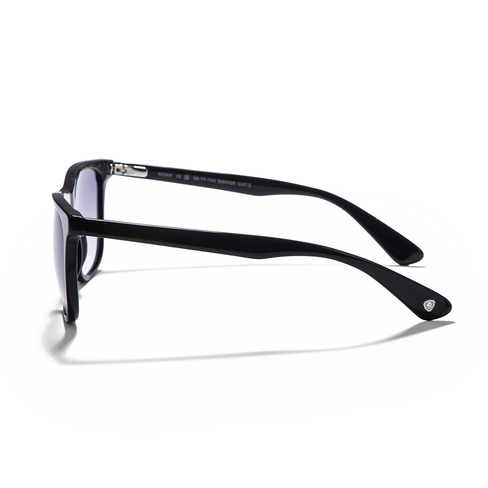 Noah Sunglasses