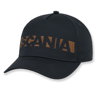 Striped Wordmark Baseball Cap