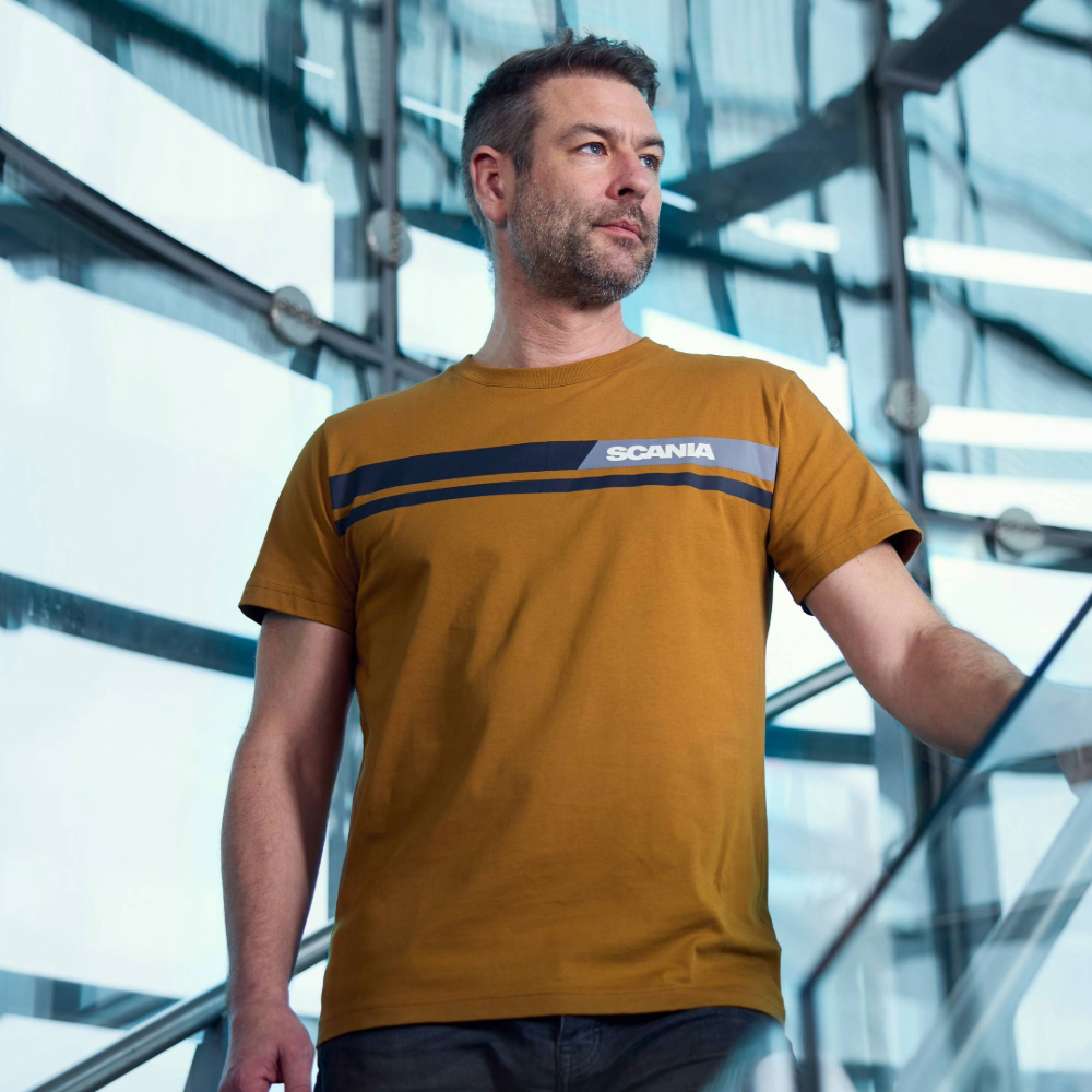 Men's Rust Stripe T-Shirt