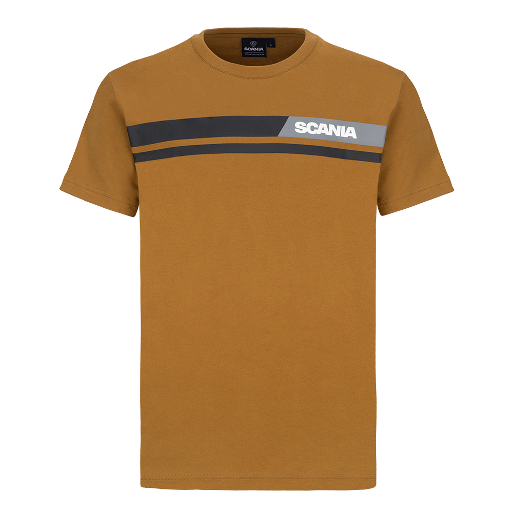 Men's Rust Stripe T-Shirt