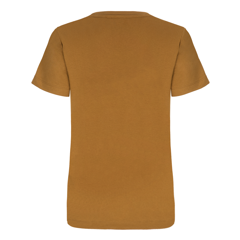 Women's Rust Stripe T-Shirt