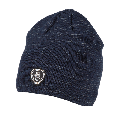 Reflective Beanie - Navy