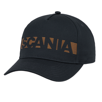 Striped Wordmark Baseball Cap